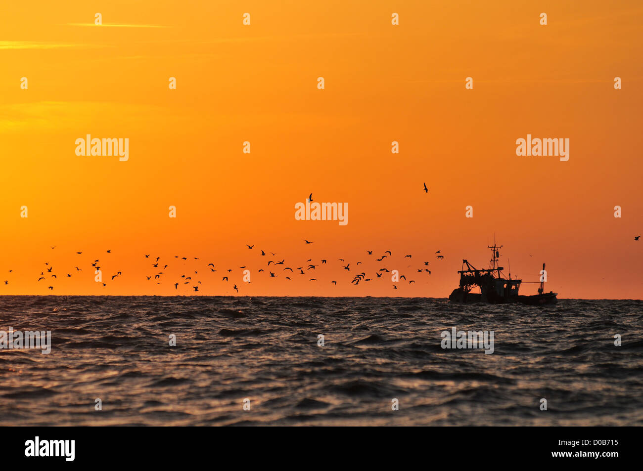 FISHING BOAT AT SUNSET OFF THE COAST OF CAYEUX-SUR-MER BAY OF SOMME SOMME (80) FRANCE Stock Photo