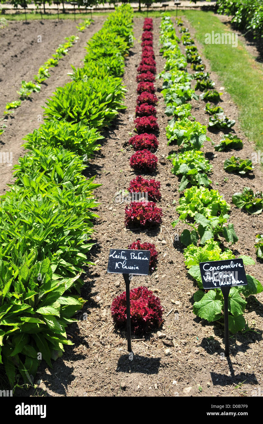 Potager garden vegetables hires stock photography and images Alamy