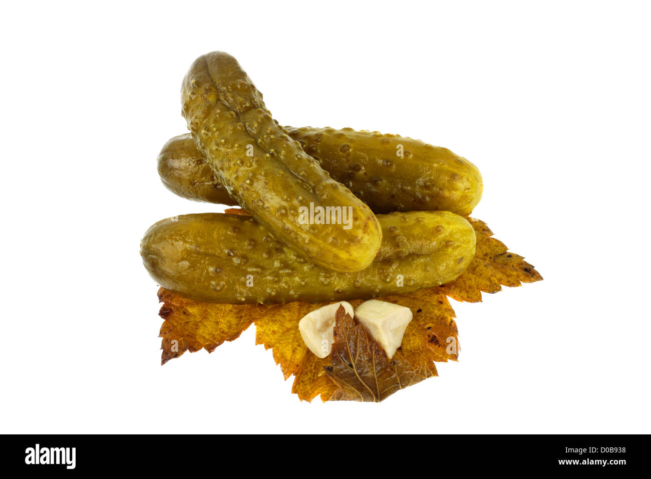 Pickled cucumbers on currant sheet with slices of garlic isolated on white background Stock Photo
