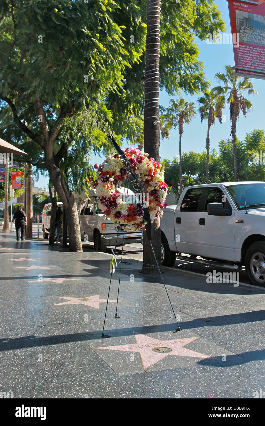 A wreath of flowers is placed on the star of the late actor Leslie Nielsen on Hollywood Boulevard. Los Angeles California Stock Photo
