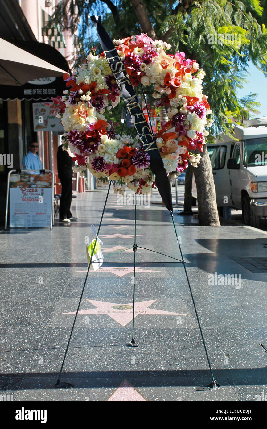 A wreath of flowers is placed on the star of the late actor Leslie Nielsen on Hollywood Boulevard. Los Angeles, California - Stock Photo