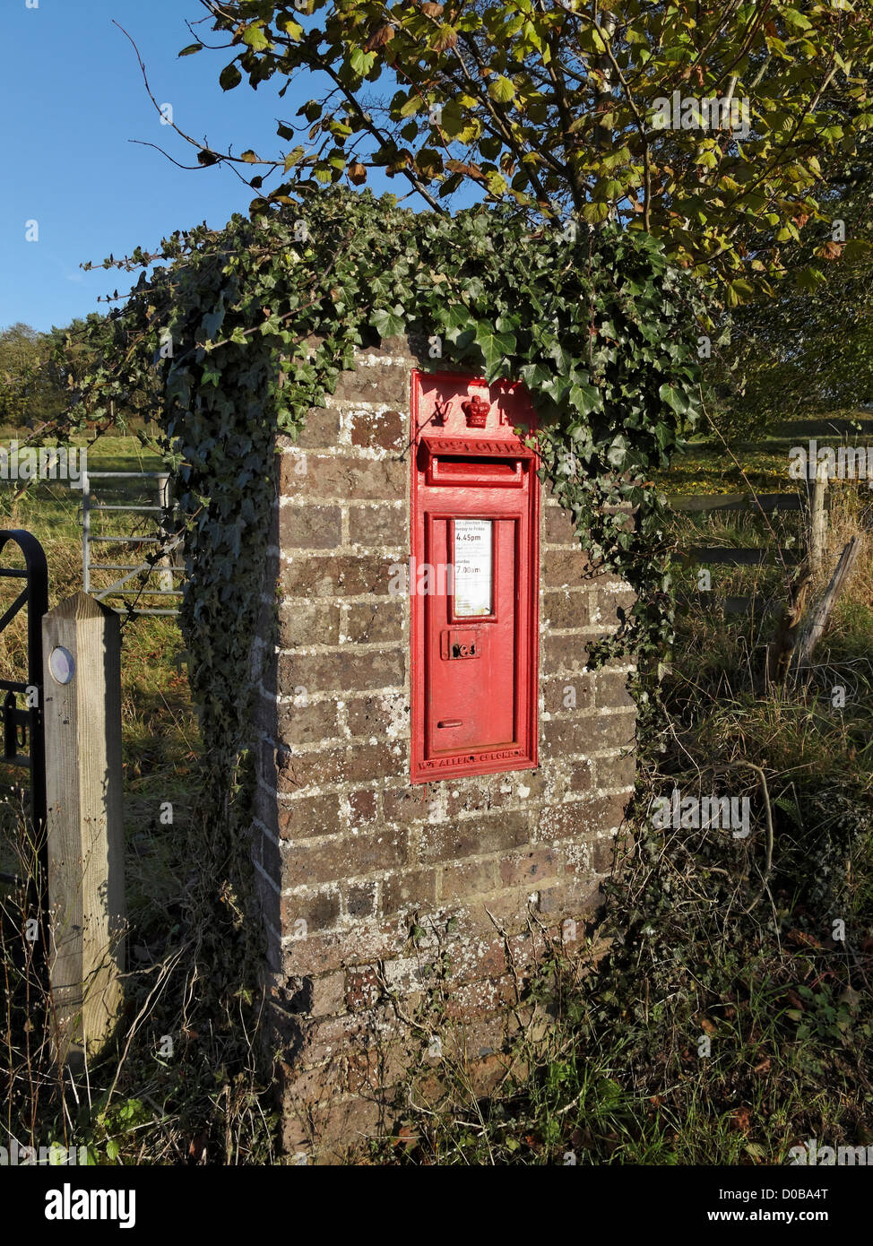 A rural postbox near Albury, Surrey, England. Stock Photo