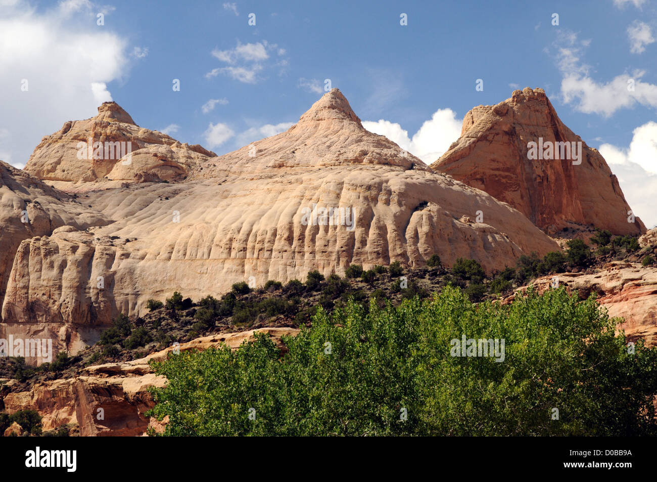 Navajo Dome, a famous sandstone landmark, in the Capitol Reef National Park, Utah, USA Stock