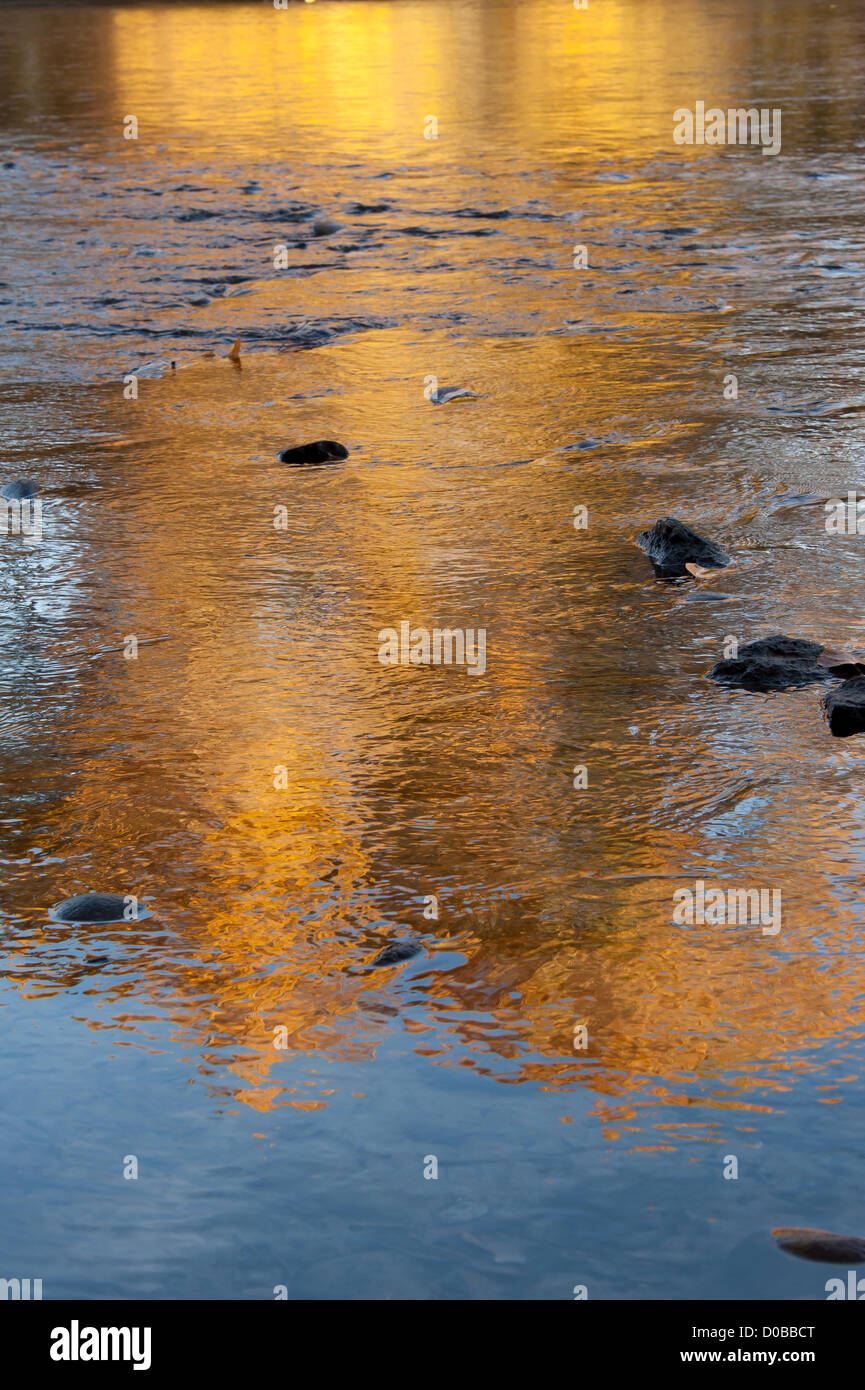 Fall reflection in the Boise river, Boise, Idaho. Stock Photo