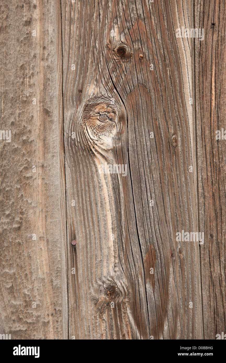 Wood siding from an old barn in Emigrant, Montana. Stock Photo