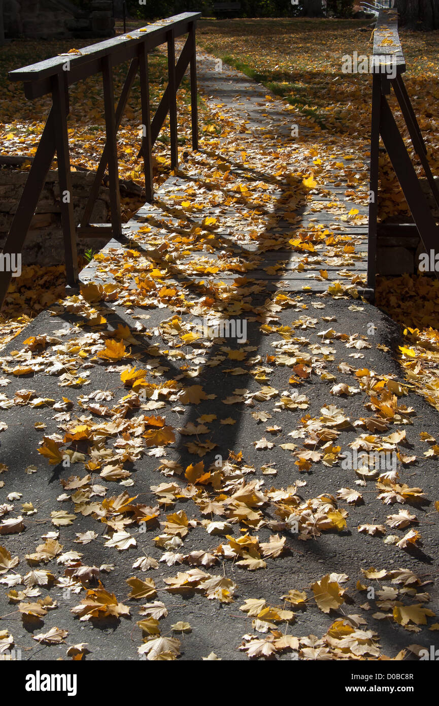 Leaves on the footbridge at a Boise, Idaho park in fall. Stock Photo