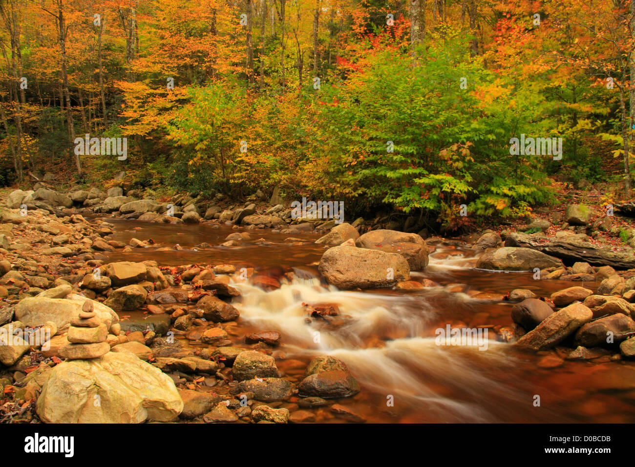DRY FORK, SOUTH FORK RED CREEK, BOARS NEST TRAIL, FLATROCK AND ROARING
