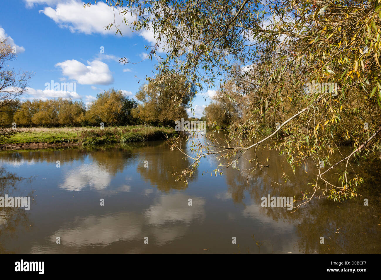 The banks of the river Cherwell at Marston, Near Oxford Stock Photo Alamy