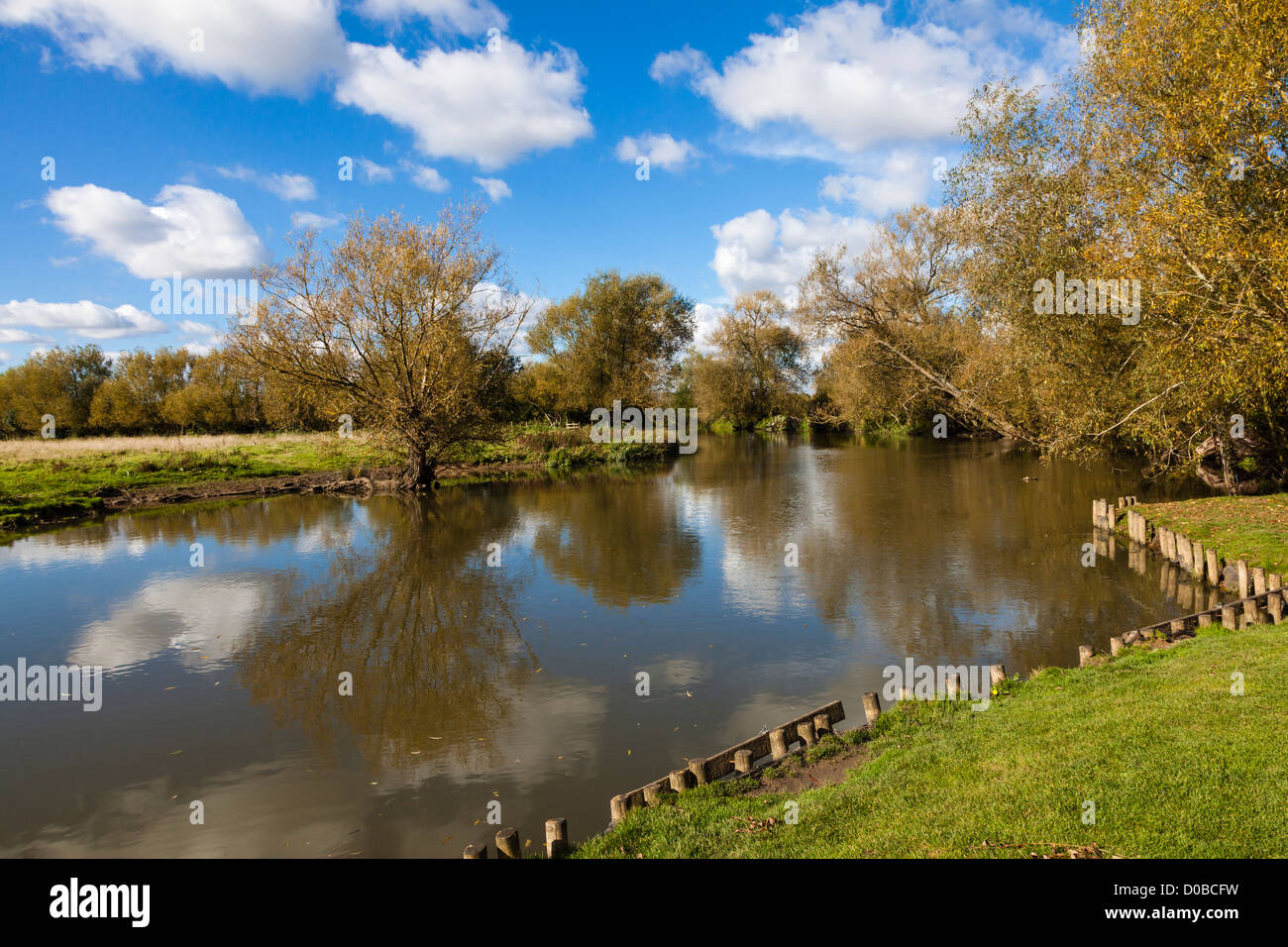 The banks of the river Cherwell at Marston, Near Oxford Stock Photo Alamy