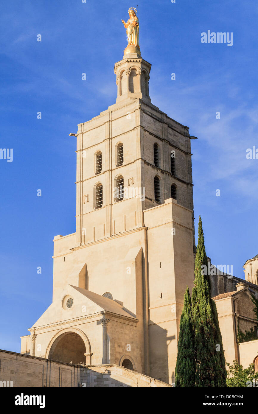Avignon - Notre Dames des Domes Church near Papal Palace, Provence, France Stock Photo