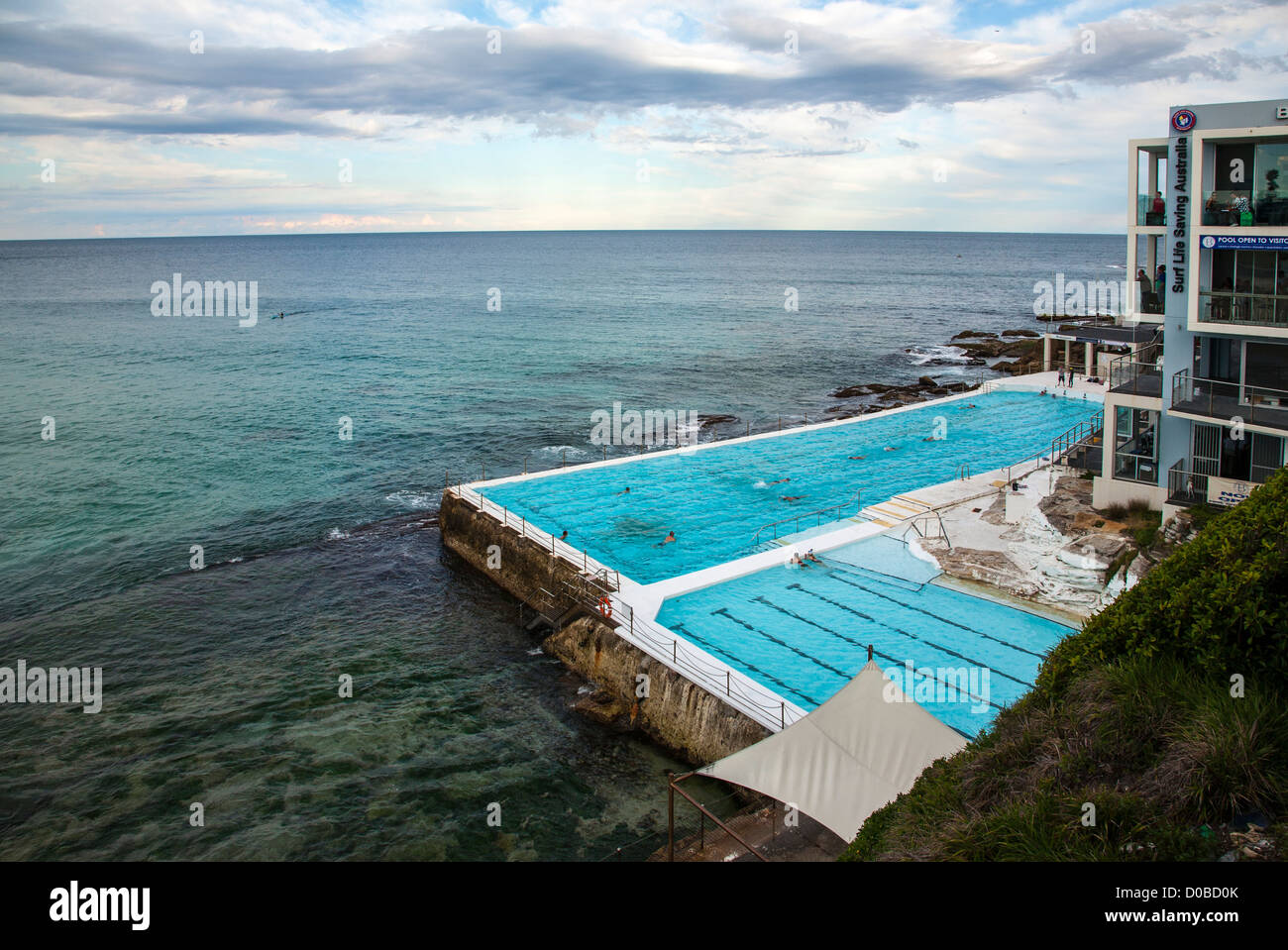 Bondi Iceberg baths, Sydney Australia Stock Photo Alamy