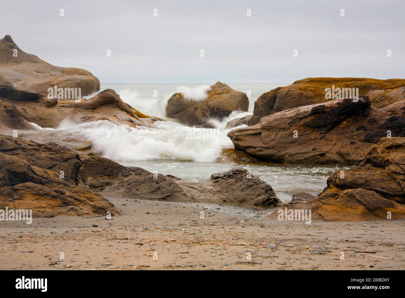 WA0776200...WASHINGTON tide at Beach Four on the Pacific Coast near Kalaloch in