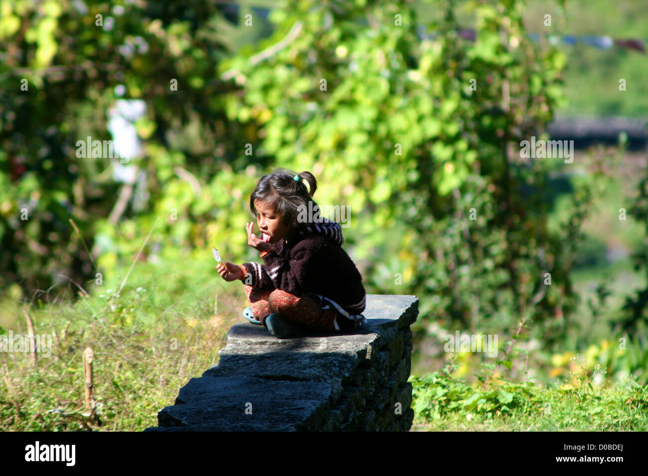  Nepali Village High Resolution Stock Photography and Images - Alamy Illustration 