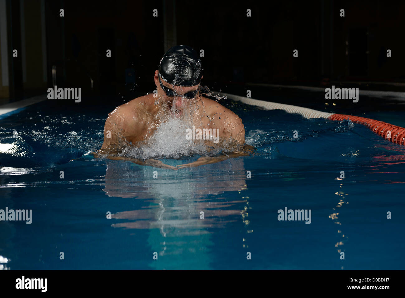 swimmer swimming pool water professional Stock Photo