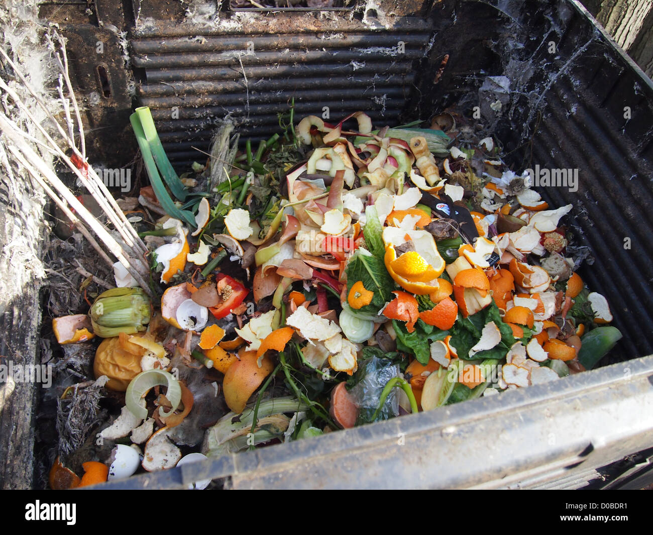 Compost bin full of food Stock Photo