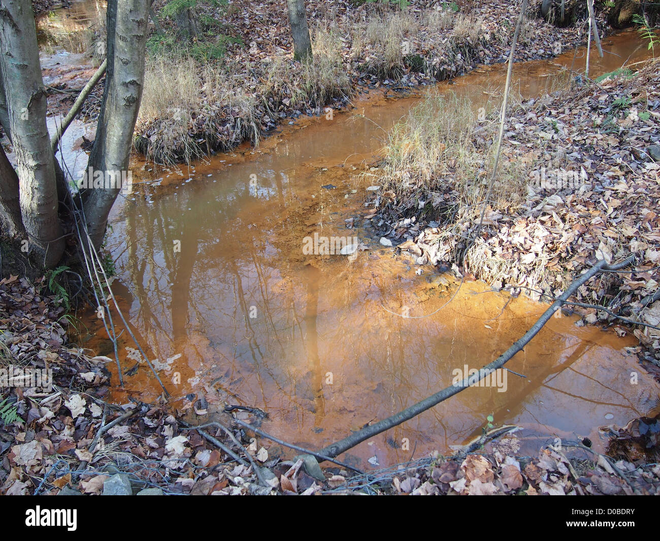 Contaminated water hires stock photography and images Alamy