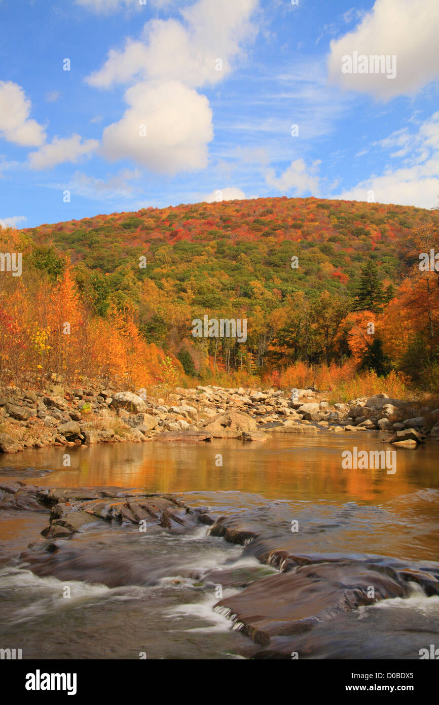RED CREEK, RED CREEK TRAIL and LITTLE STONECOAL TRAIL, DOLLY SODS WILDERNESS, HOPEVILLE, WEST