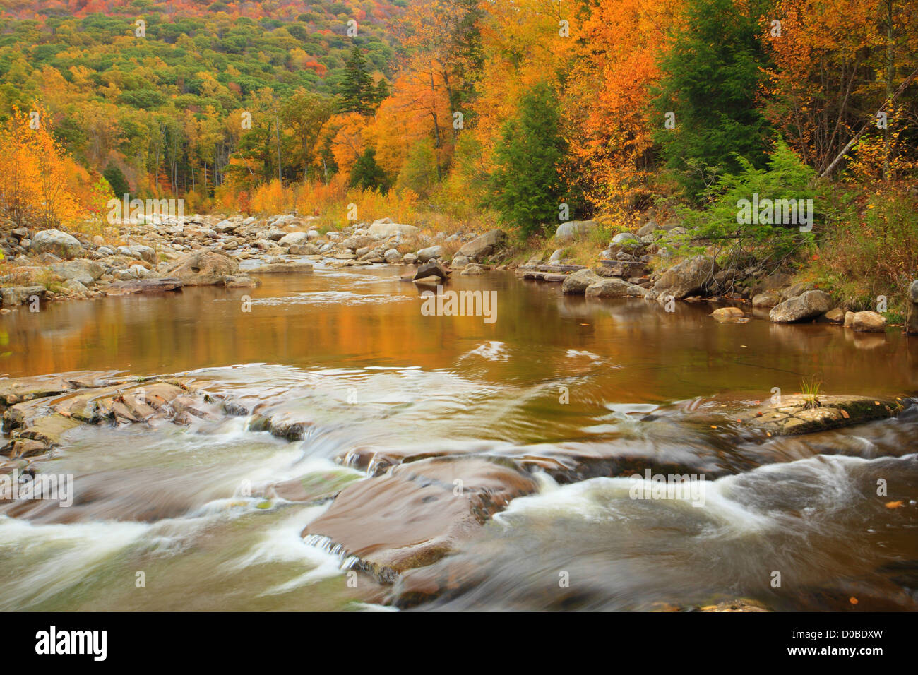 RED CREEK, RED CREEK TRAIL and LITTLE STONECOAL TRAIL, DOLLY SODS WILDERNESS, HOPEVILLE, WEST