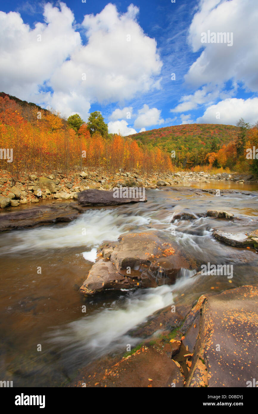 RED CREEK, RED CREEK TRAIL and LITTLE STONECOAL TRAIL, DOLLY SODS WILDERNESS, HOPEVILLE, WEST