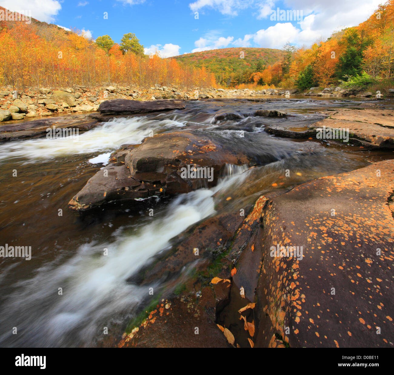 RED CREEK, RED CREEK TRAIL and LITTLE STONECOAL TRAIL, DOLLY SODS WILDERNESS, HOPEVILLE, WEST