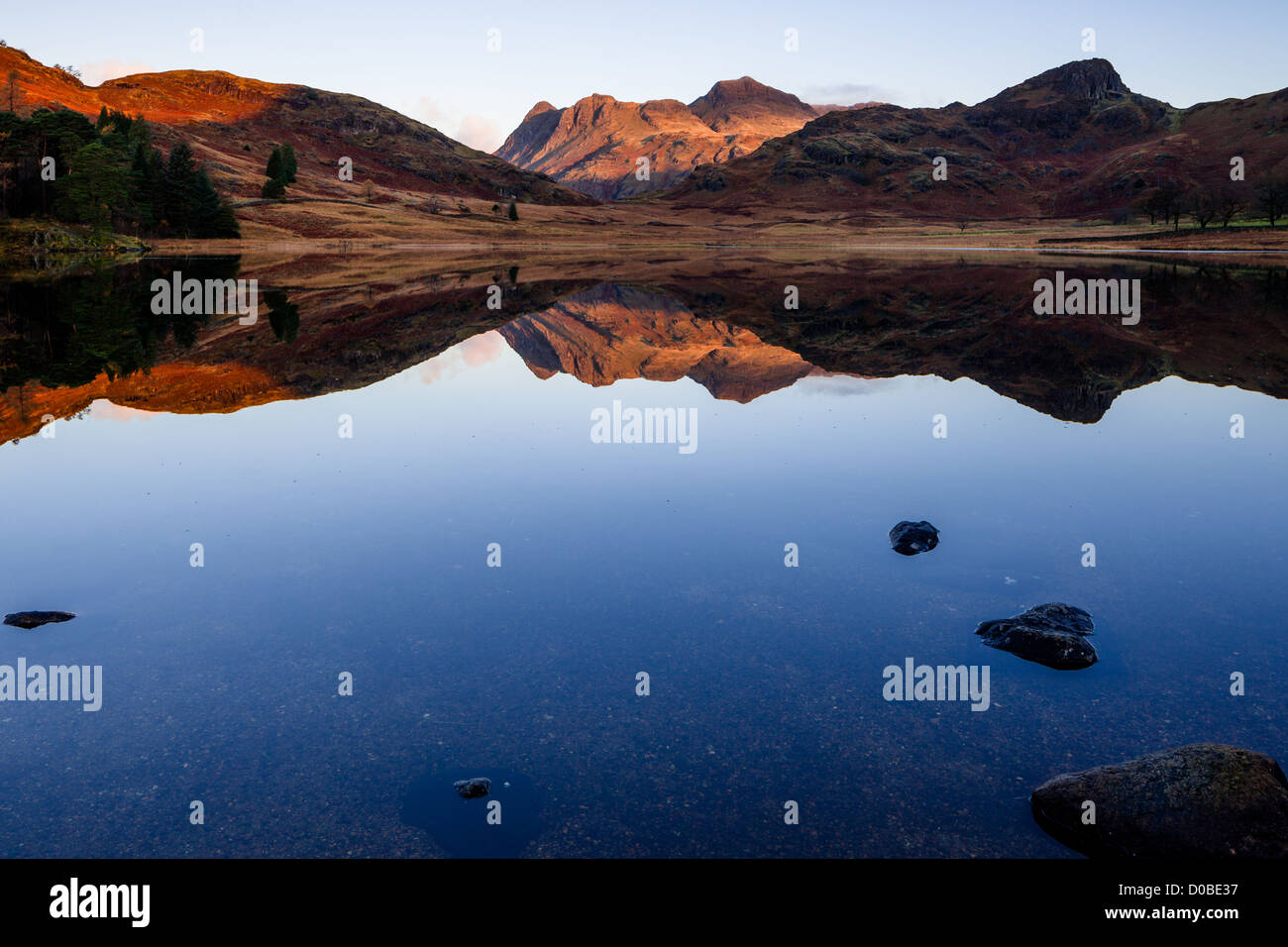 Langdale Pikes reflected in Blea Tarn, English Lake District Stock Photo