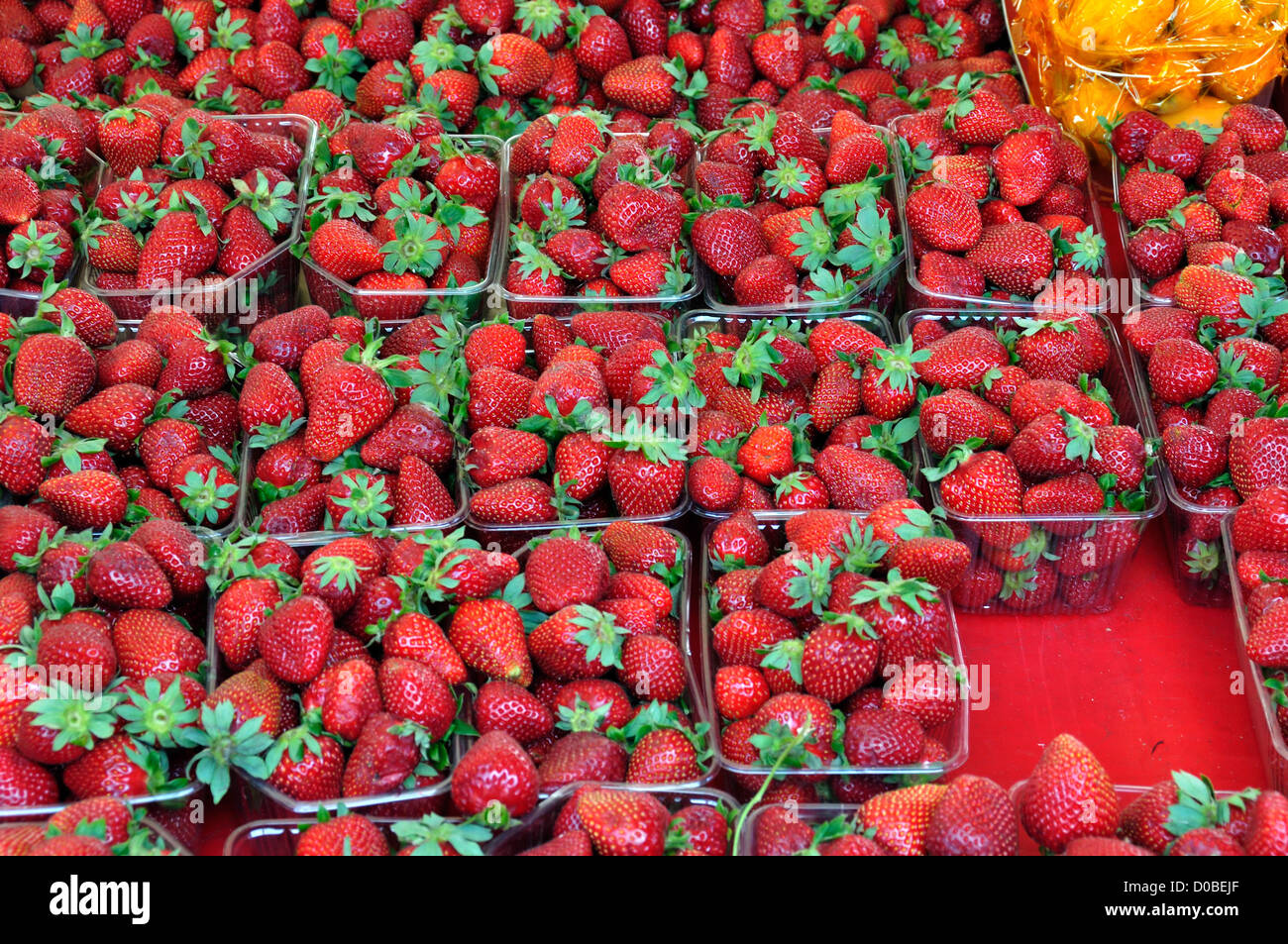 Ripe strawberries in plastic crates at grocery store. Fruit background