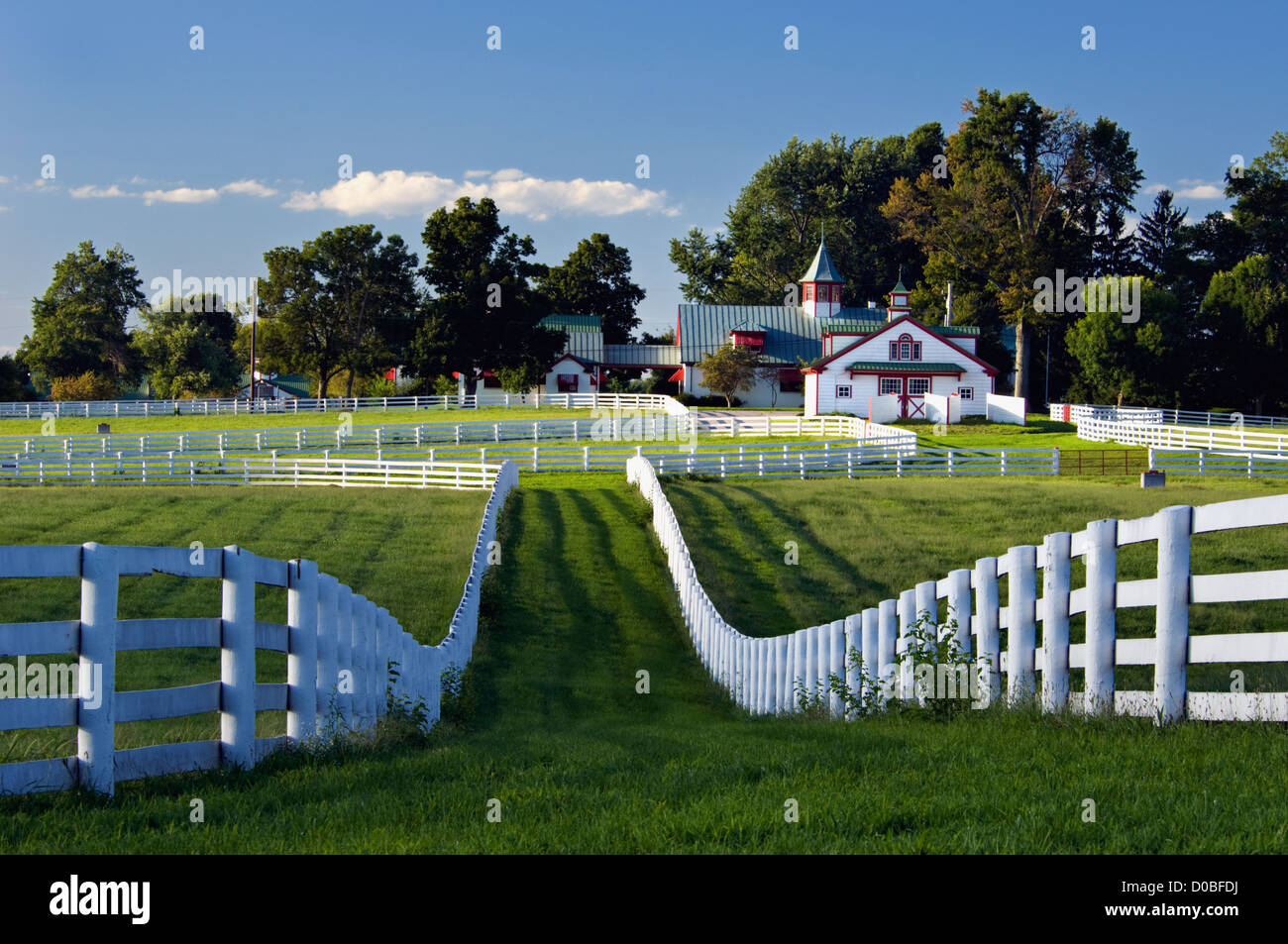 Calumet farm thoroughbred horse farm hires stock photography and