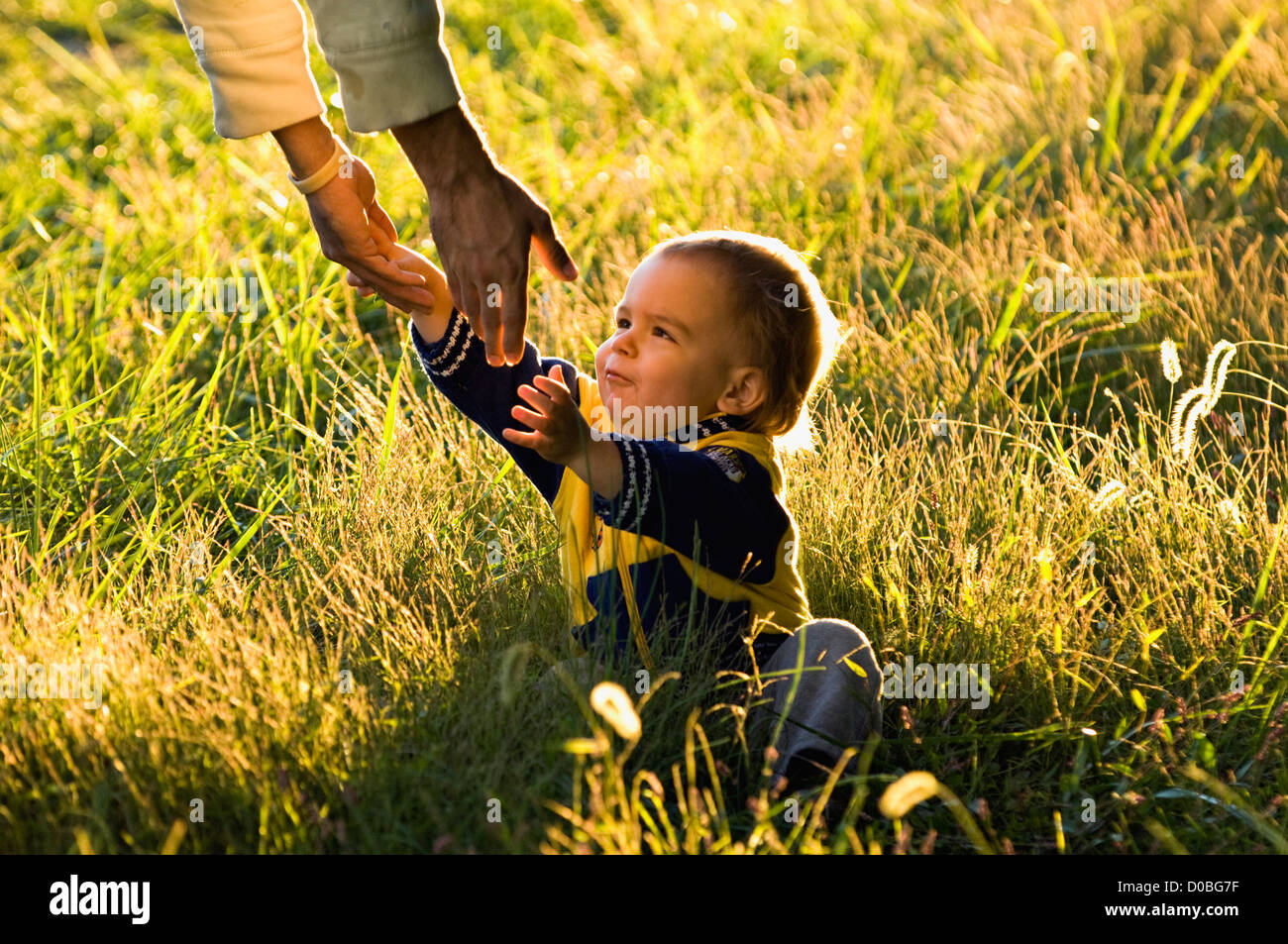 Fallen Toddler Reaching Up to Father to be Picked Up Stock Photo