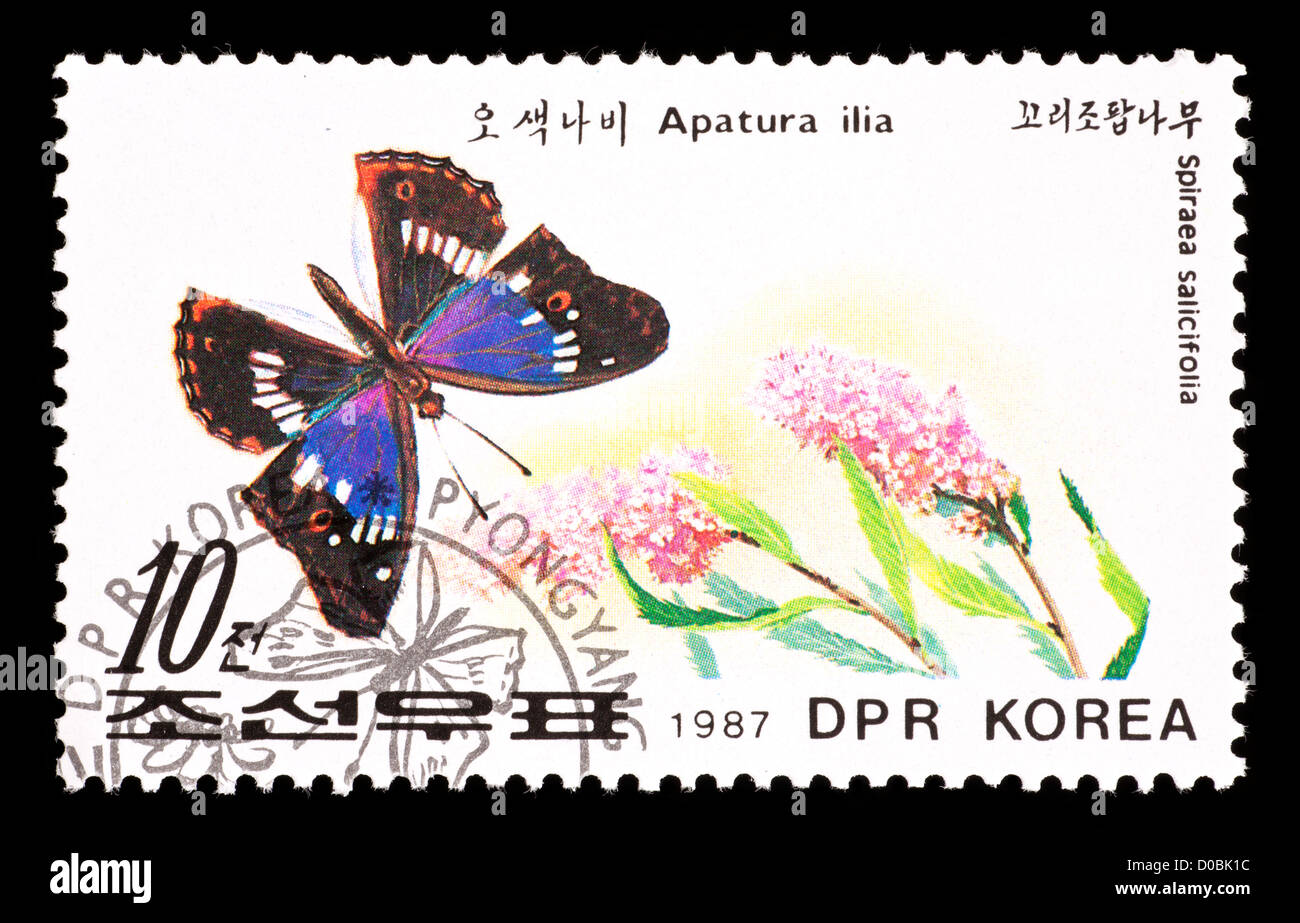 Postage stamp from North Korea depicting a Lesser Purple Emperor (Apatura ilia) on willowleaf meadowsweet (Spireae salicifolio) Stock Photo