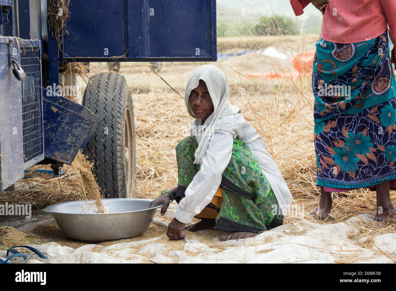 Indian Farm Workers Harvesting The Rice Crop. Andhra Pradesh, India ...