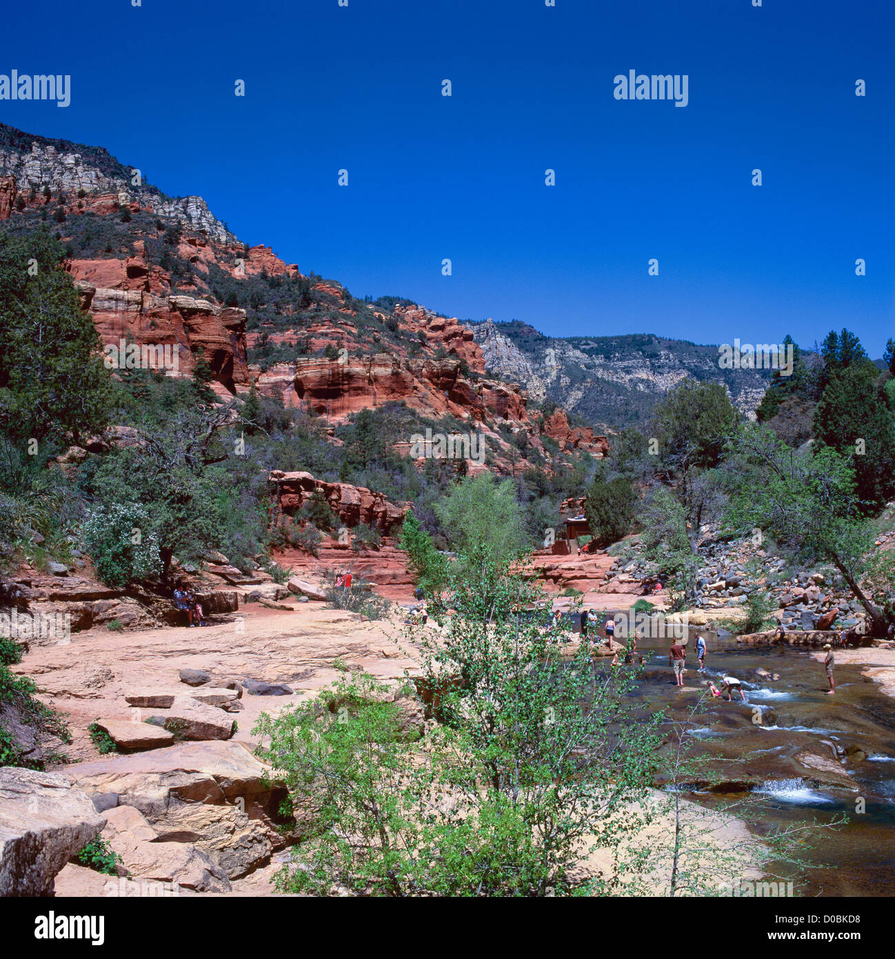 Oak Creek Canyon near Sedona, Arizona, USA Oak Creek and Sandstone