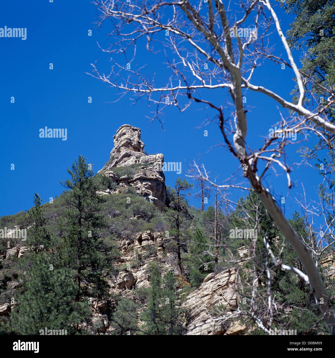 Oak Creek Canyon near Sedona, Arizona, USA Sandstone Cliffs in Coconino National Forest Stock
