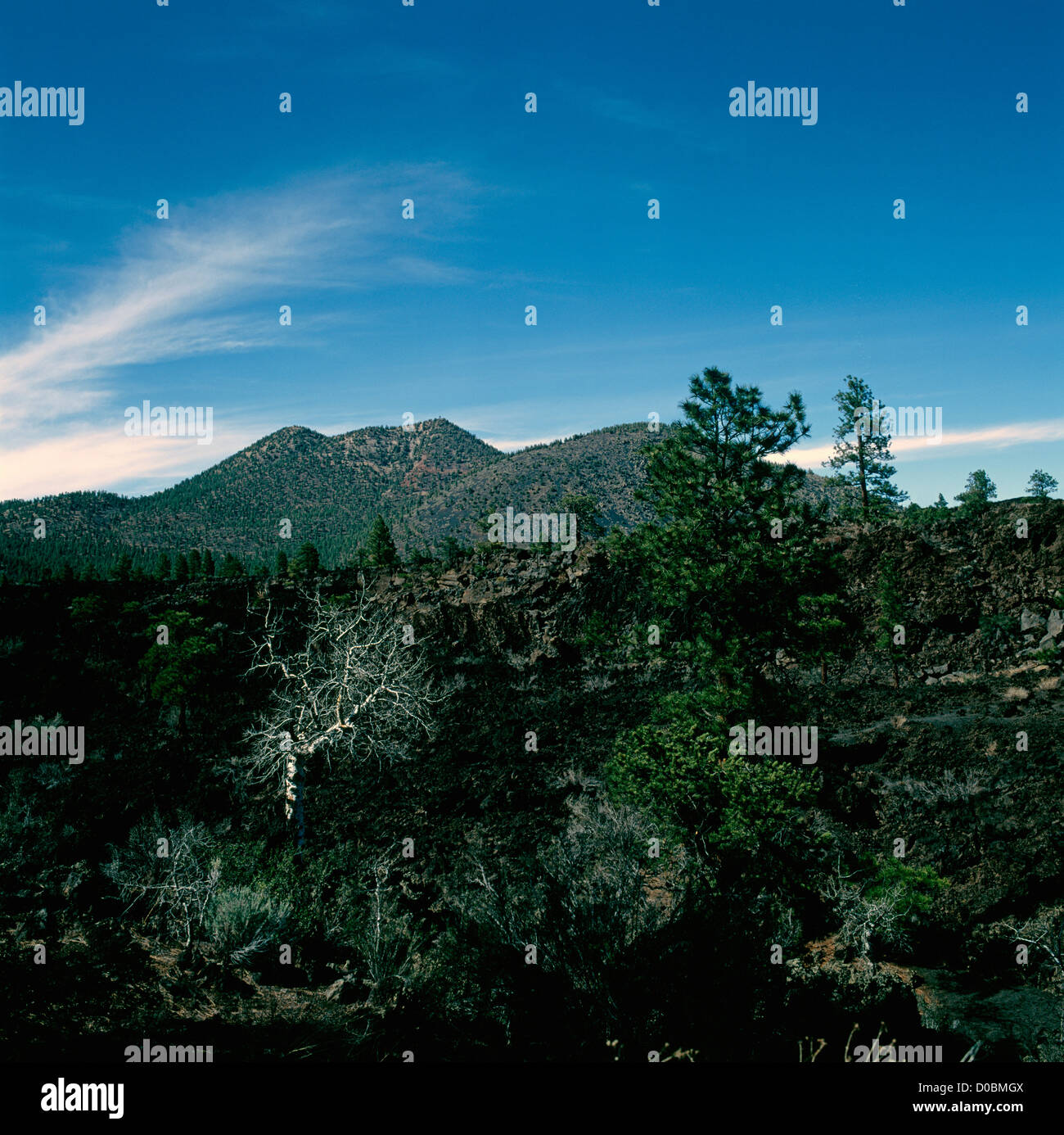 Sunset Crater Volcano National Monument, near Flagstaff, Arizona, USA