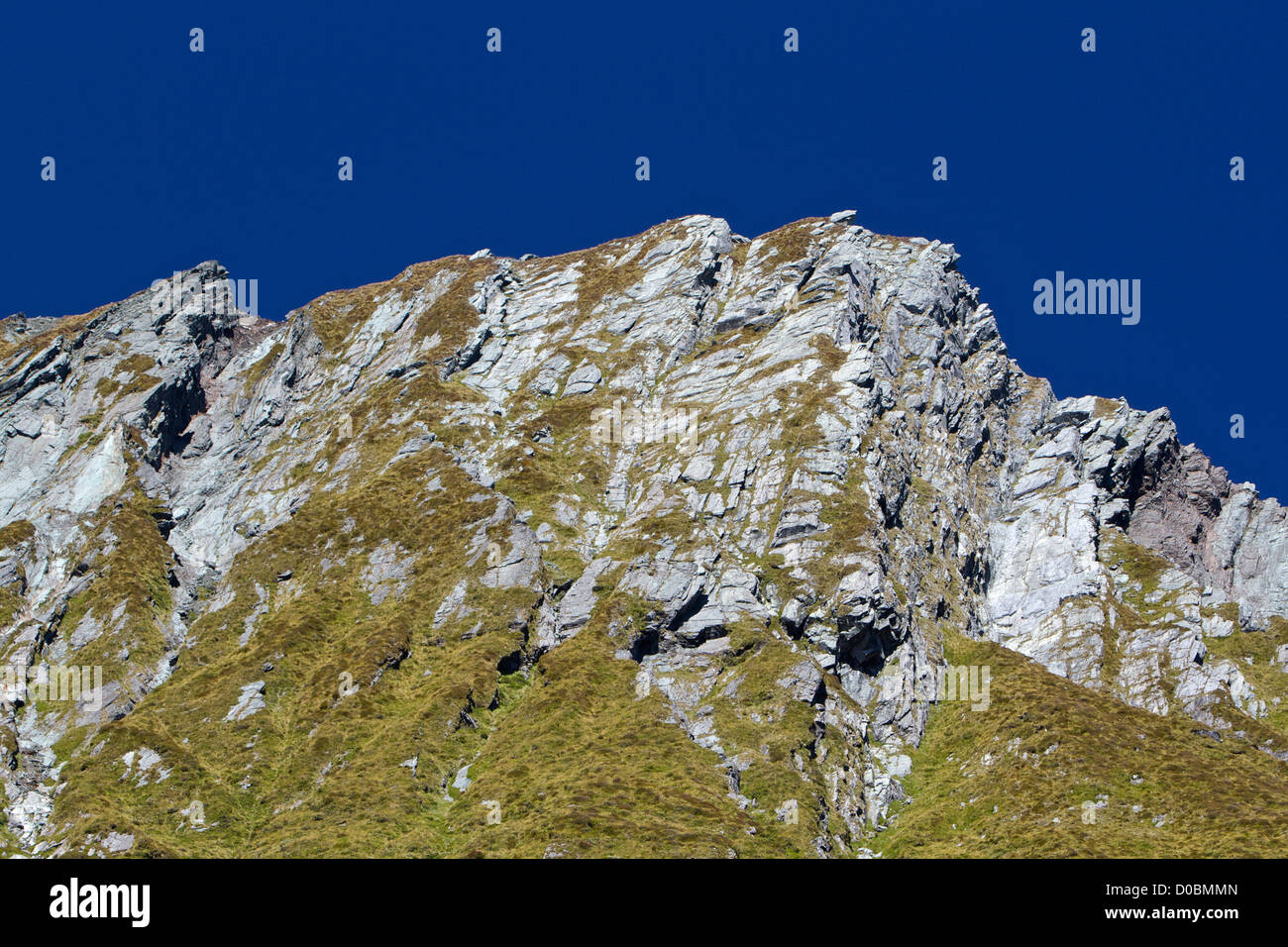 Detail of a peak in the Matukituki Valley, in Mount Aspiring National Park. Stock Photo