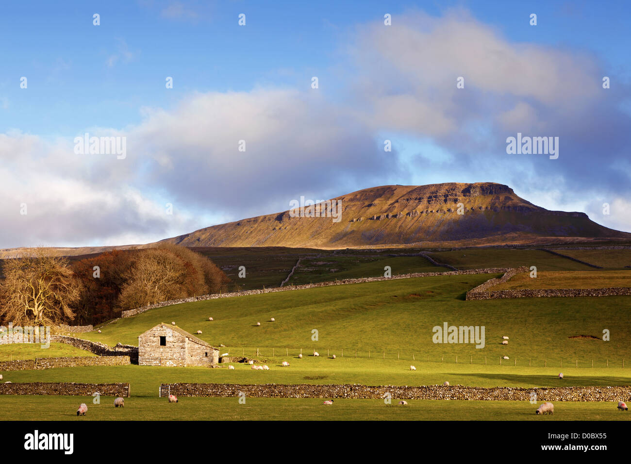 An old stone built barn in Horton-in-Ribblesdale, Yorkshire Dales, England Stock Photo