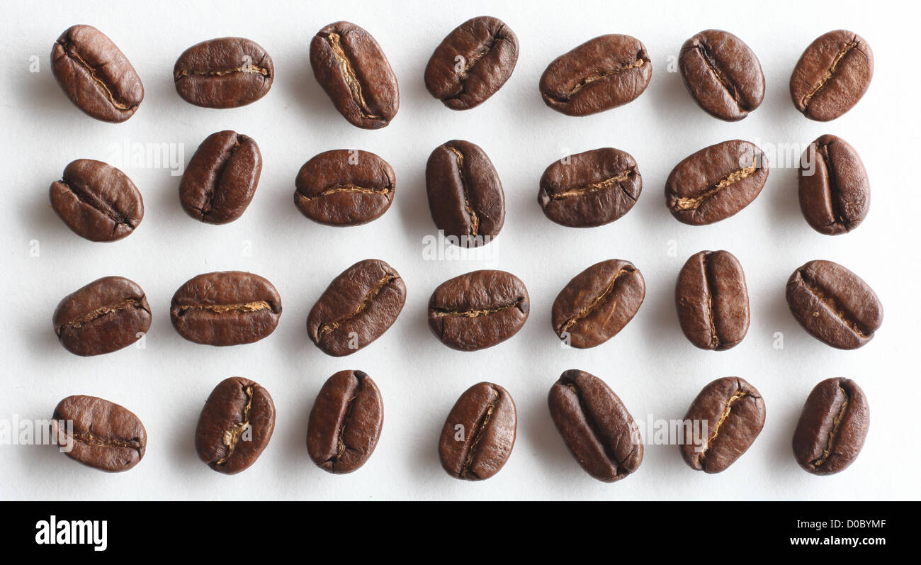 ARABICA COFFEE BEANS ON A WHITE BACKGROUND Stock Photo - Alamy