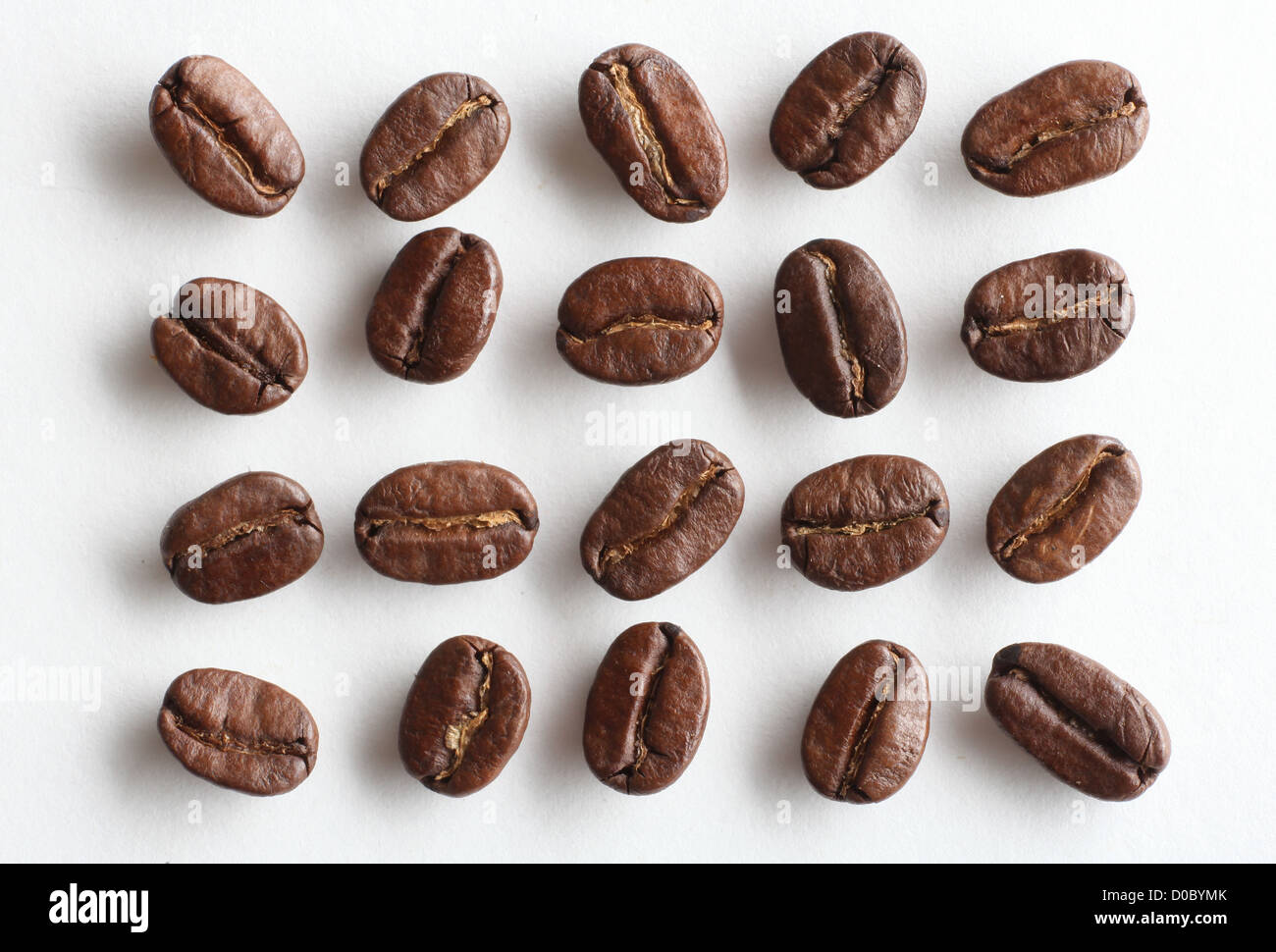 ARABICA COFFEE BEANS ON A WHITE BACKGROUND Stock Photo - Alamy