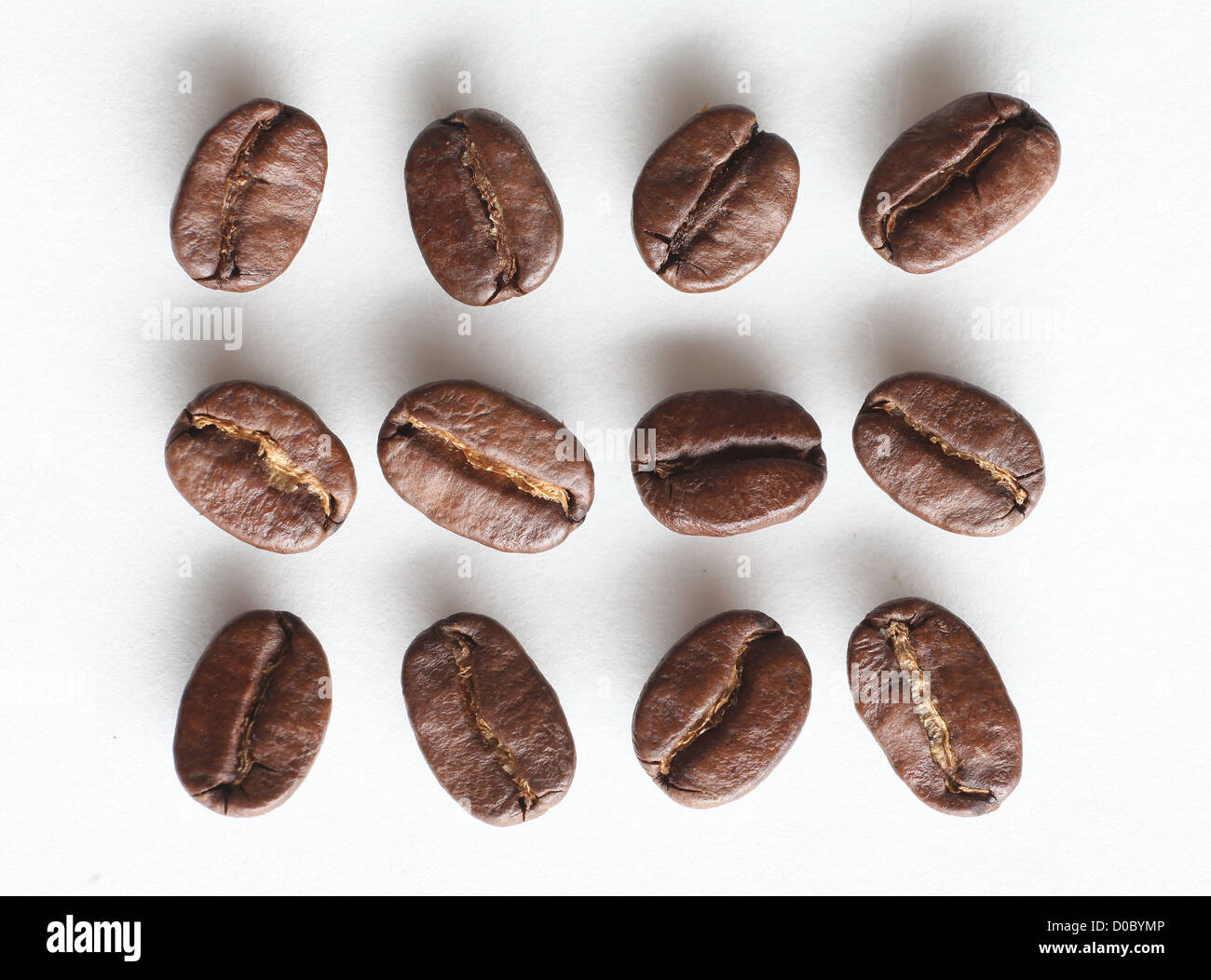 ARABICA COFFEE BEANS ON A WHITE BACKGROUND Stock Photo - Alamy