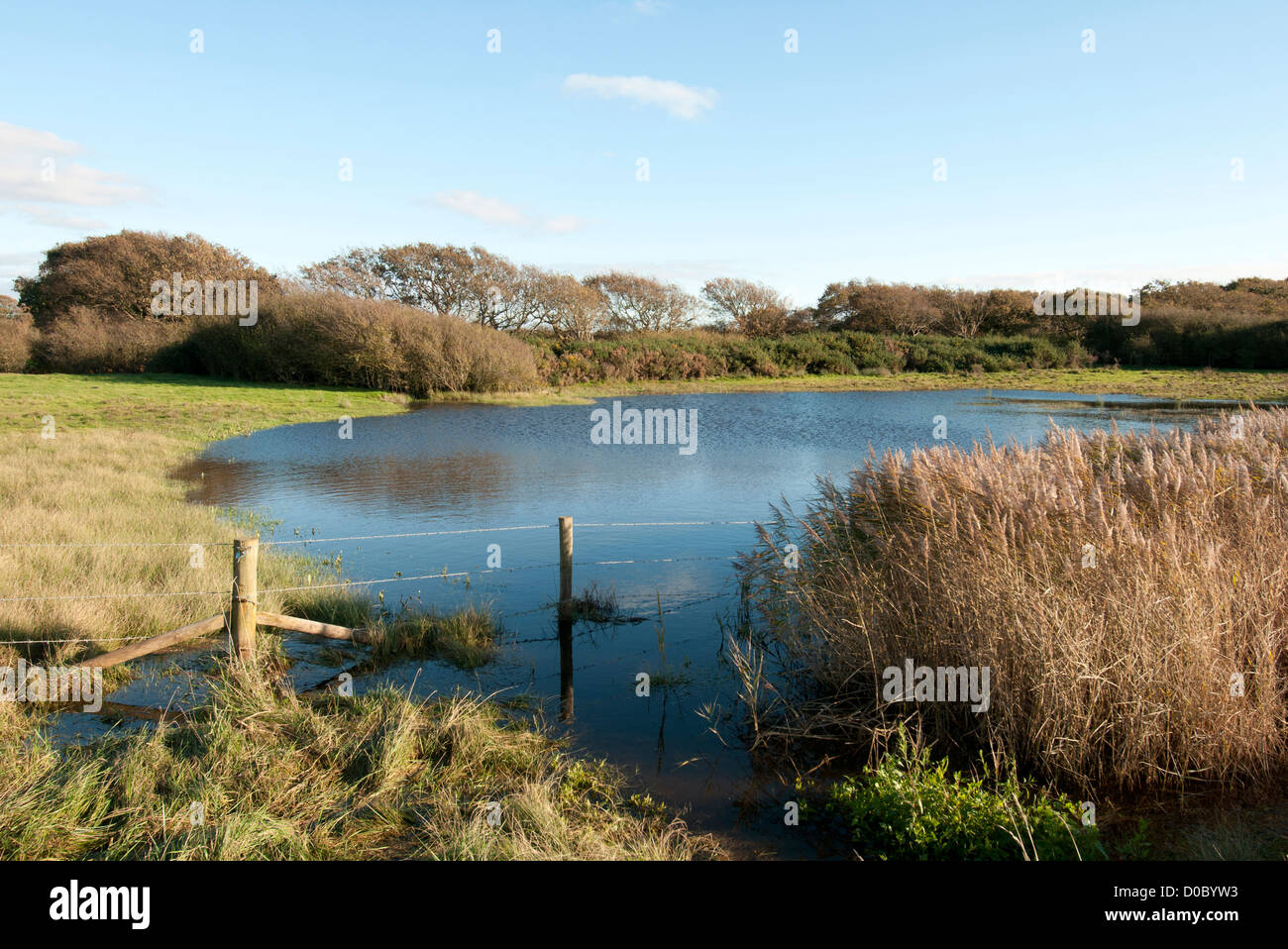 flooded field after heavy rainfall Stock Photo