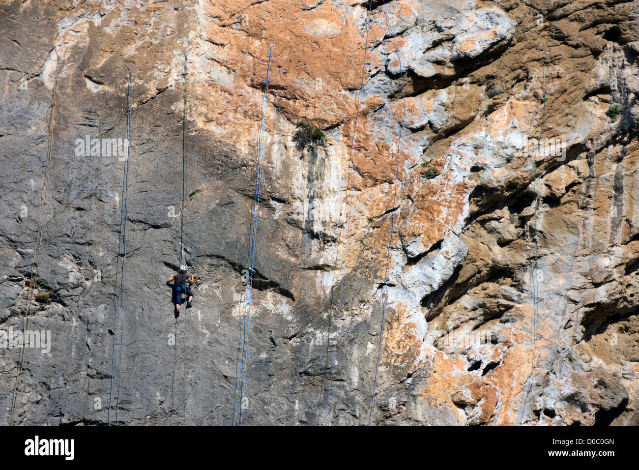 Rock climber, rock climbing, Provence, France Stock Photo Alamy