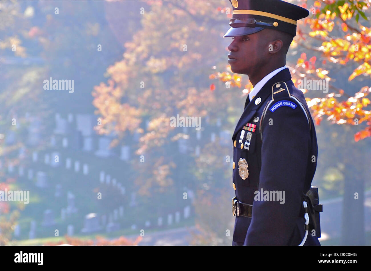 Soldier standing guard at Arlington National Cemetary on Veterans Day November 11, 2012 in Arlington, Virginia. Stock Photo