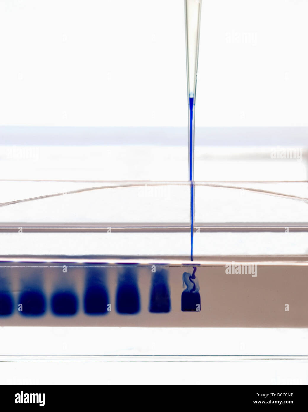 Pipette Tip Loading Vertical Polyacrylamide Gel Stock Photo Alamy