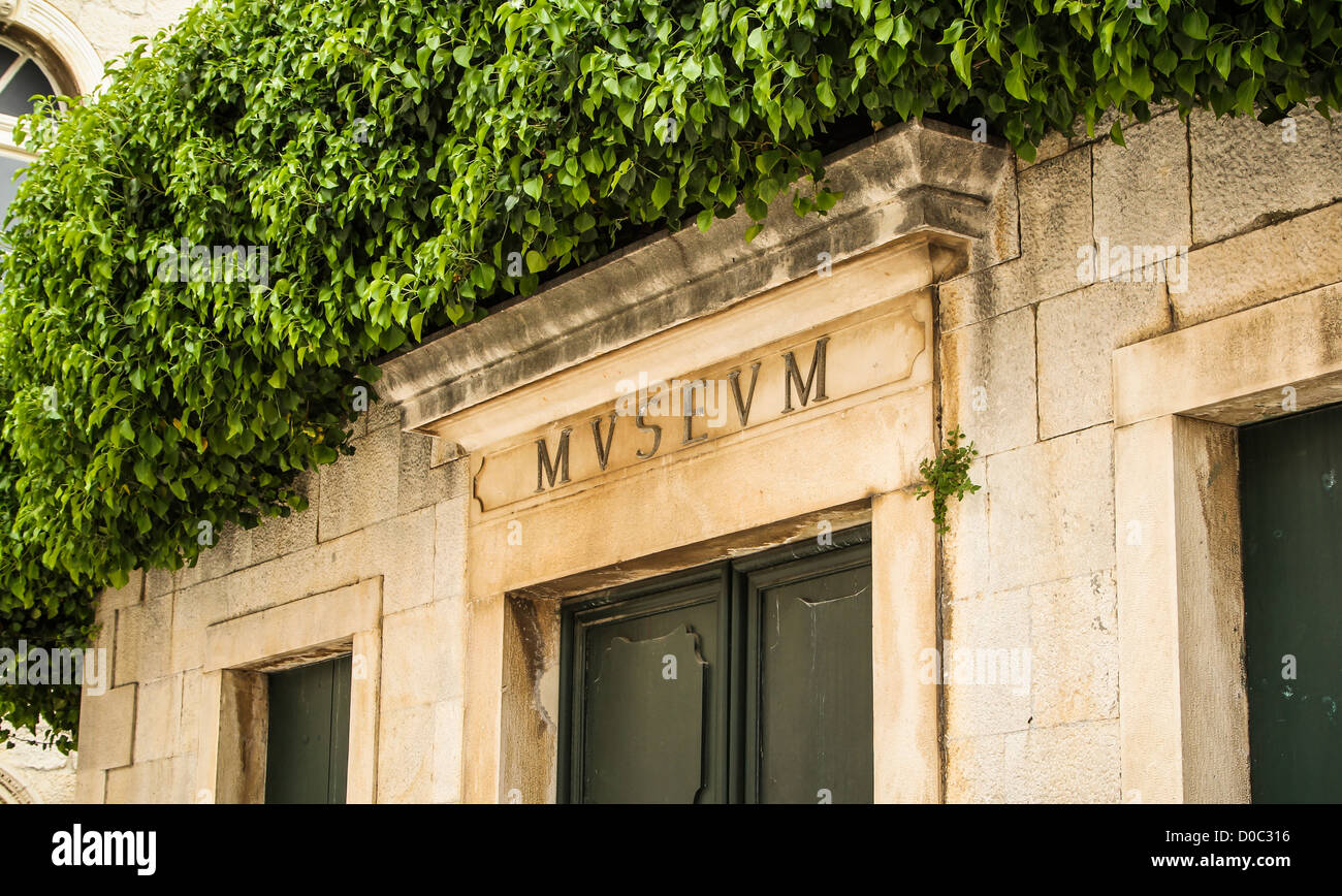 A bush overhanging an old museum in the old town, Trogir, Croatia Stock Photo