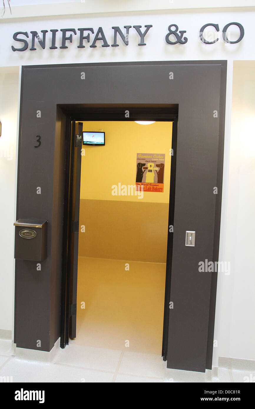 Hotel Atmosphere The Barkley Pet Hotel & Day Spa and the new Westlake