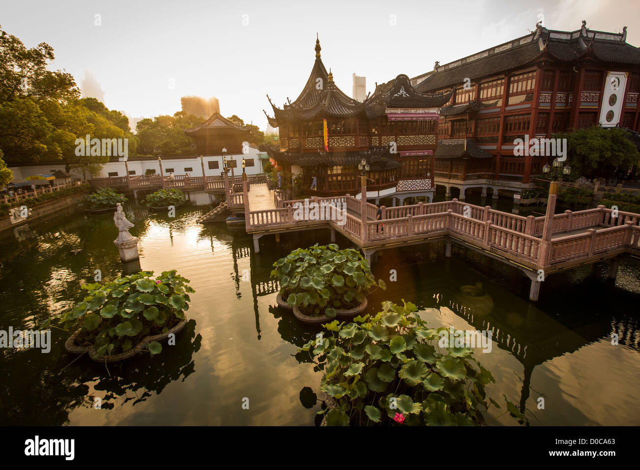 Sunrise over the Huxinting Teahouse in Yu Yuan Gardens Shanghai, China