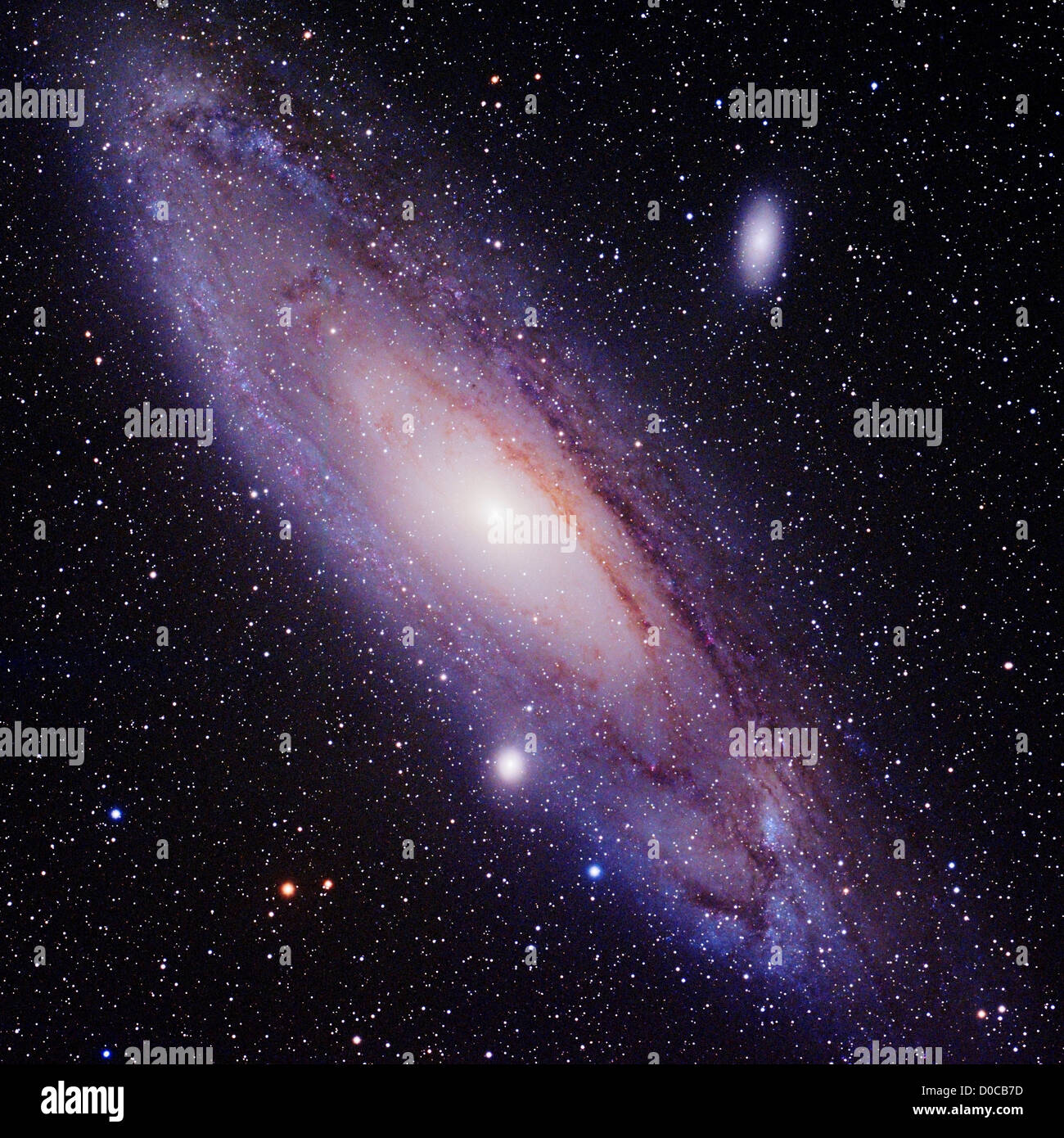 The Great Galaxy in Andromeda or M 31 (Messier 31) nearest large spiral galaxy our own Milky Way. Two companion galaxies M 32 Stock Photo