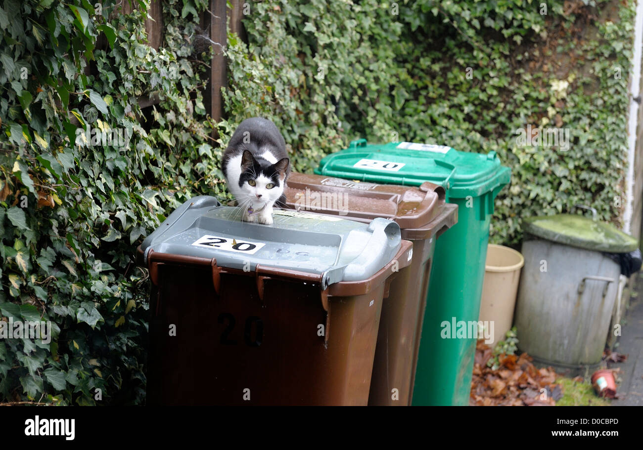 Wheelie Bins Garden High Resolution Stock Photography and Images - Alamy