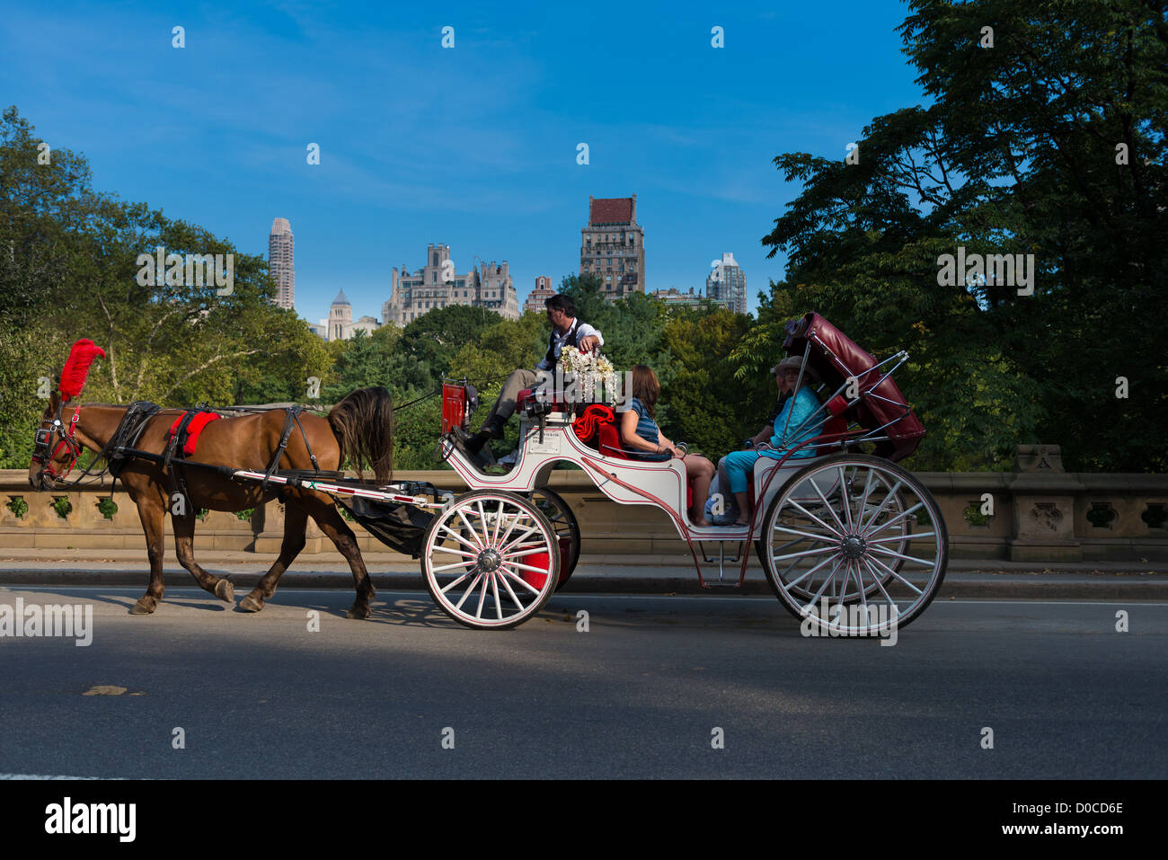 People in horse carriage tour in Central park, New York Stock Photo