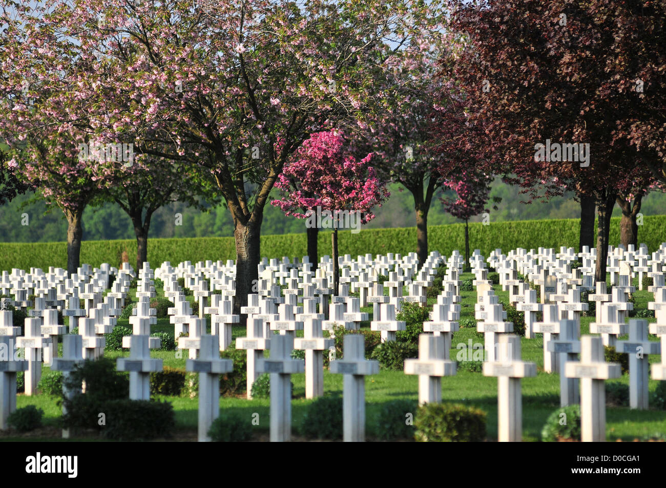 FRENCH CEMETERY FOR SOLDIERS KILLED DURING THE FIRST WORLD WAR SOMME (80) FRANCE Stock Photo