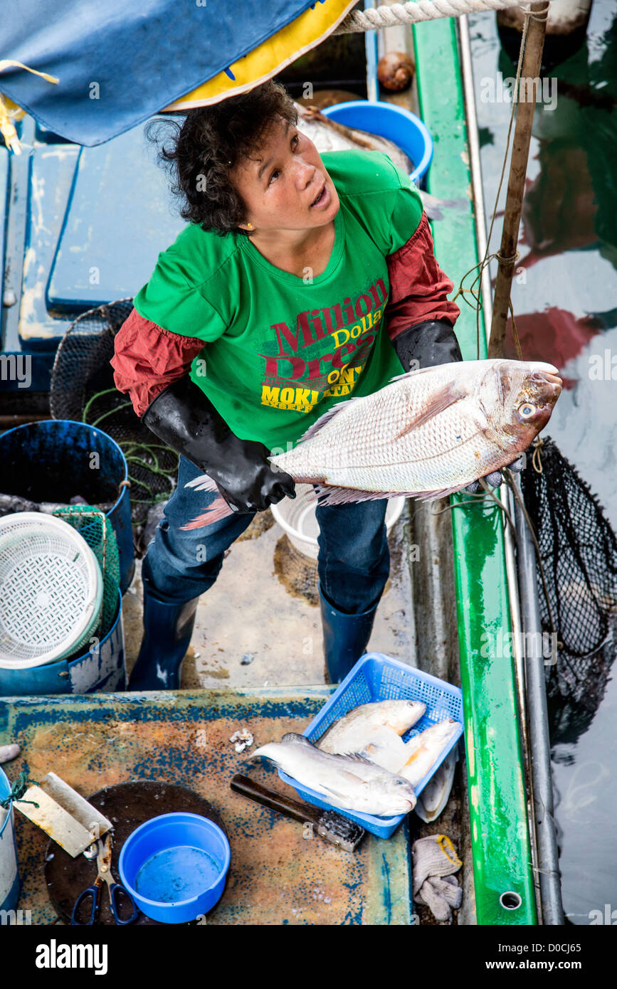 Woman selling fish in Sai Kung, Hong Kong, China Stock Photo